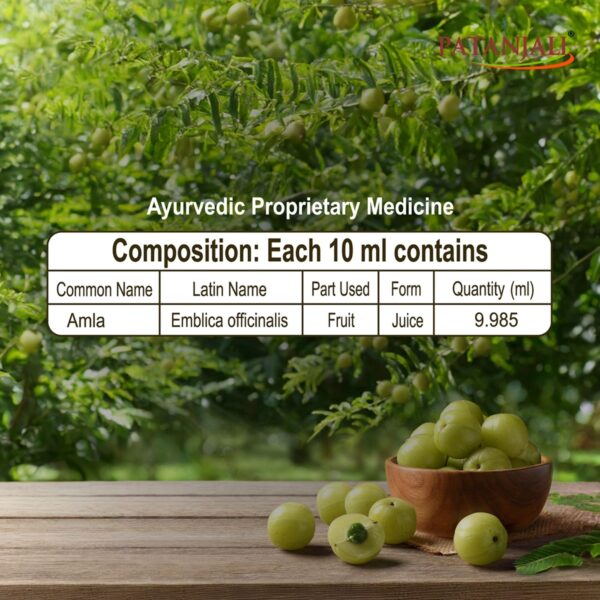 Patanjali Amla Juice: Nature's Wellness Elixir - Image 3