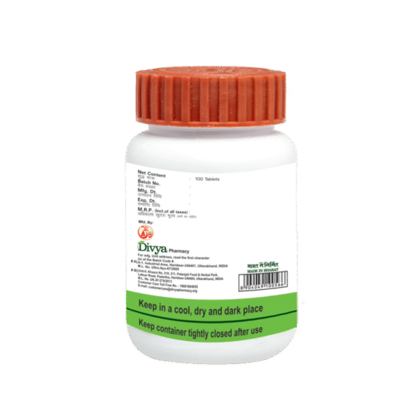 Divya Medohar Vati: Natural Weight Loss Solution - Image 2