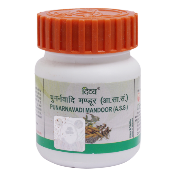 punarnavadi mandoor 120 tab pack