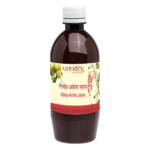 Patanjali Giloy Amla Juice: Ayurvedic Immunity Booster