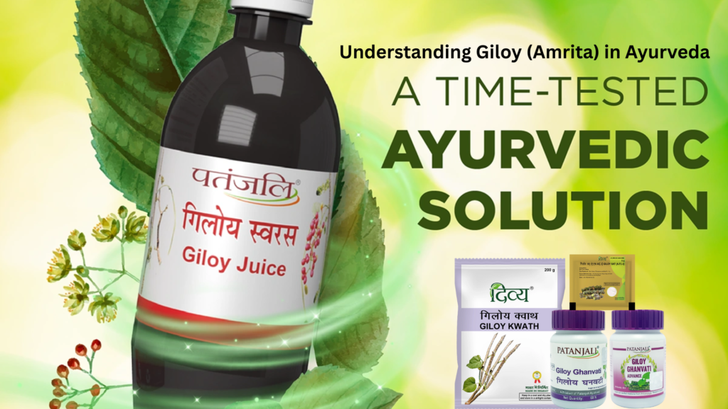 Giloy benefits in Ayurveda for immunity and recovery
